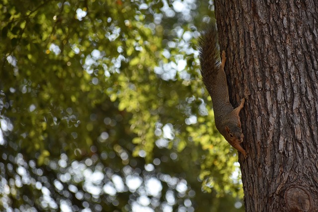 也反映了家 也反映了家