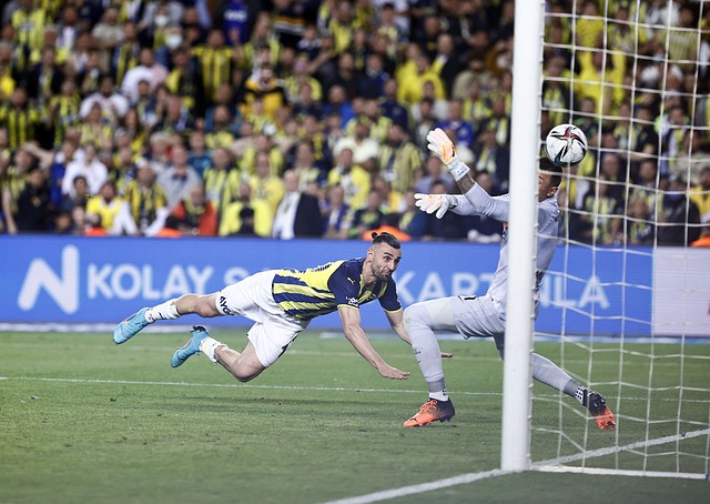 这位葡萄牙 这位葡萄牙