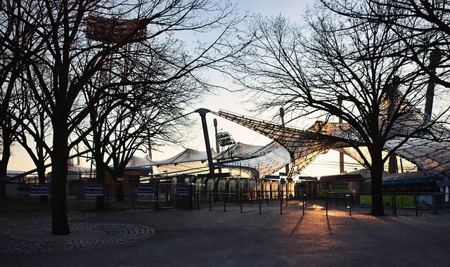 通的转会 通的转会