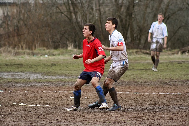 力框架中的 力框架中的