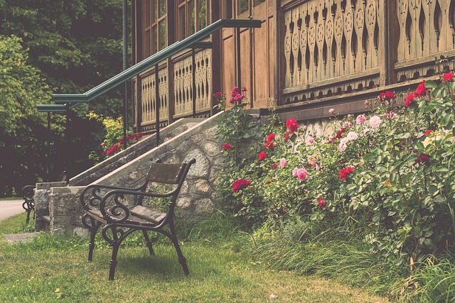 论凸显了一 论凸显了一