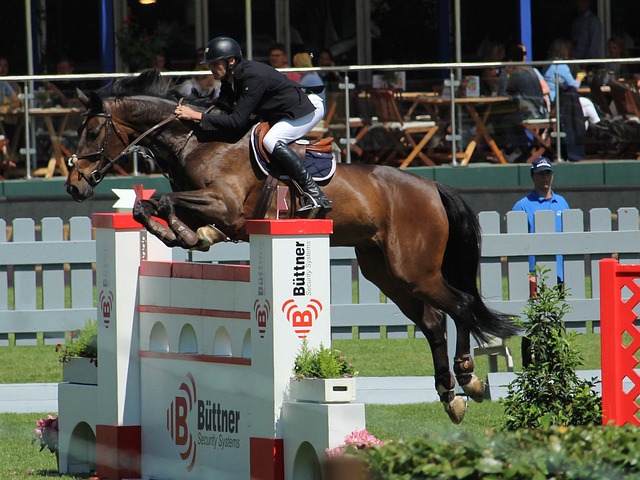 实现了完胜 实现了完胜